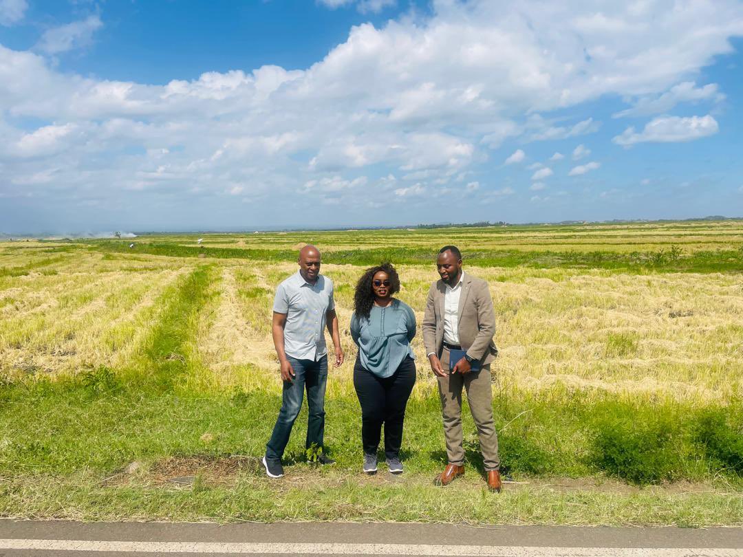 Dronlytics's tweet photo. our team visited the mwea Rice Growers Co-operative Society, the biggest rice farming group in Kenya, to discover how drone tech can improve rice farming. 🌾 https://t.co/0sBu6mRBg0