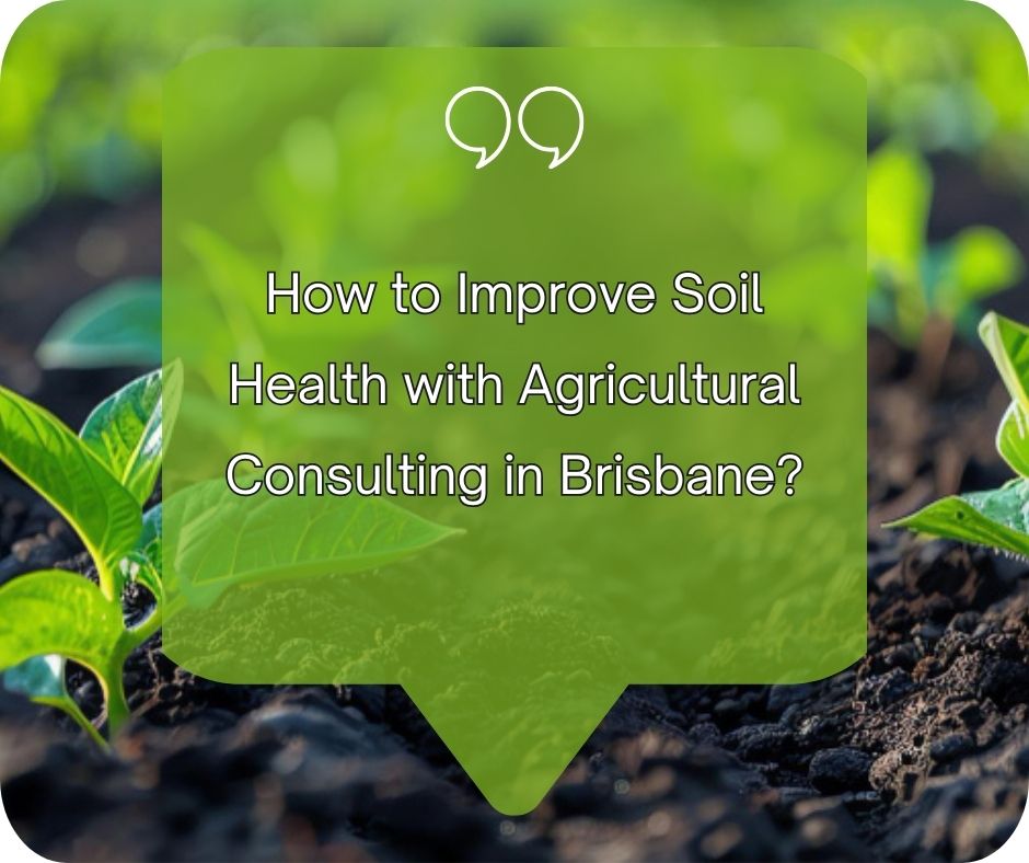 You must know the ways to ensure healthier soil with tailored agricultural consulting in Brisbane. Improve your gardening practices and soil quality easily. 
Read More: tinyurl.com/y27dvets
#agriculture #AgricultureInnovation #AgricultureCoaching