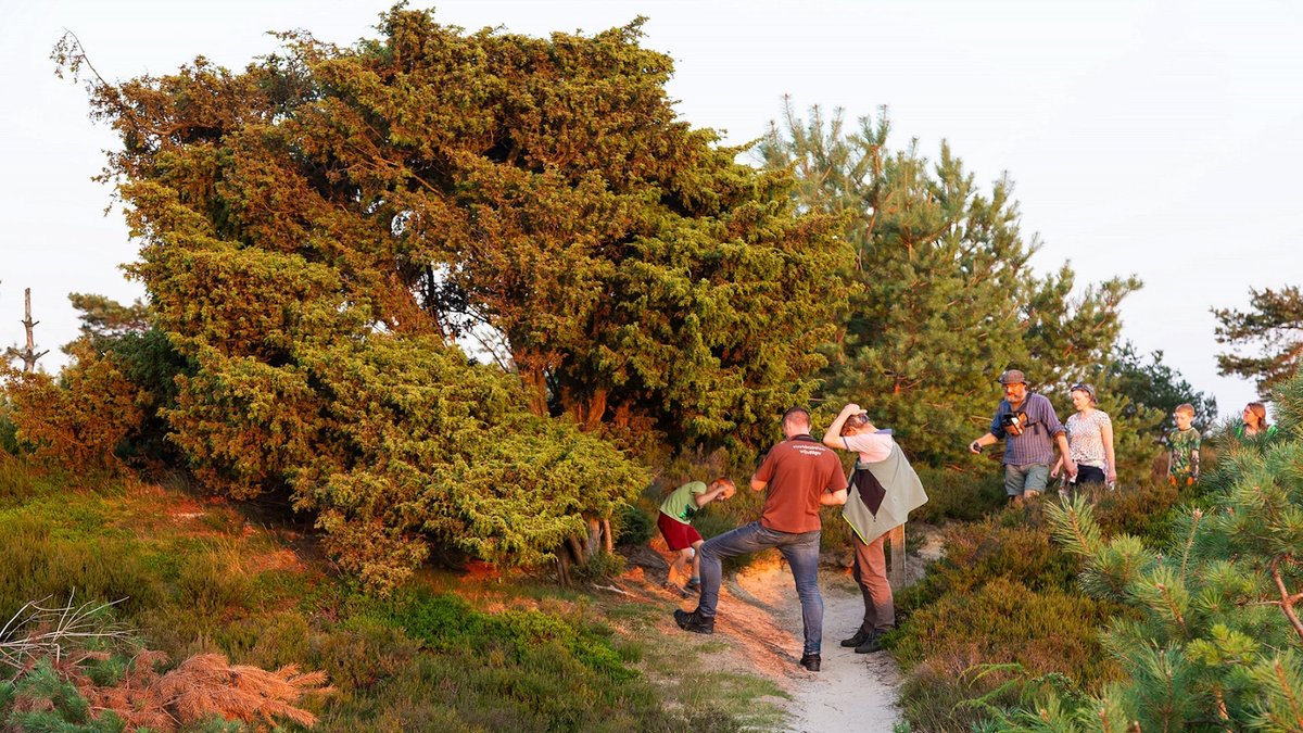 Zomerwandeling Aekingerzand -  rtvmeppel.nl/zomerwandeling…