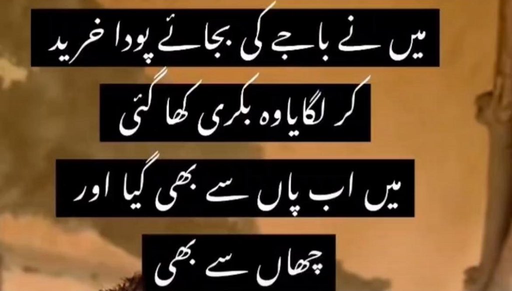 faizannriaz's tweet photo. WhatsApp gems 😭😭 https://t.co/3KBHTSZurl