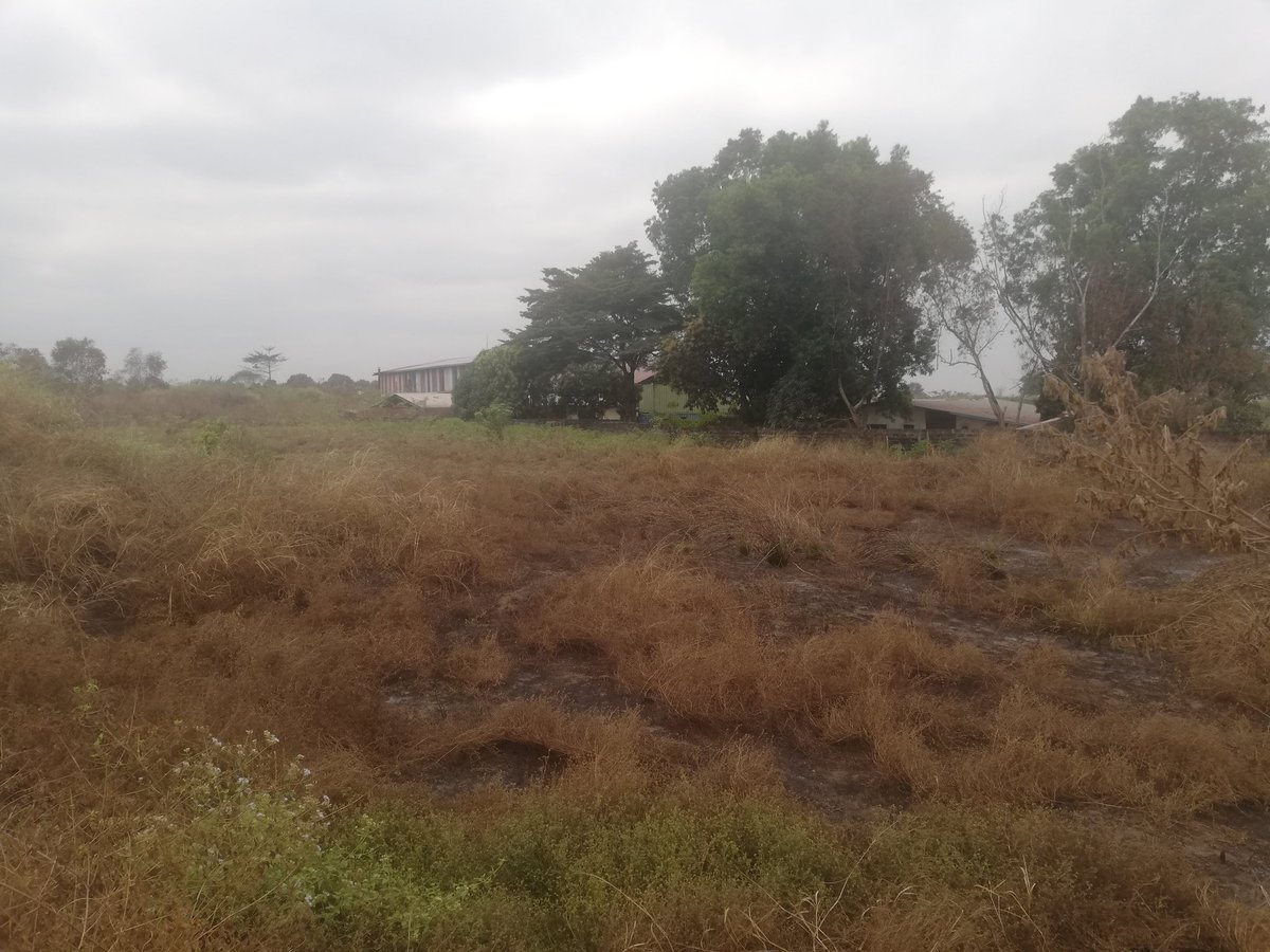DeProximite's tweet photo. À VENDRE À NTOULA DANS LE SECTEUR DE LA SOCIÉTÉ SSC!!!🇨🇬🇨🇬🇨🇬
Un domaine comprenant de plus 25 parcelles de 20mx20m chacune.
***PRIX :1.5 MILLIONS À DÉBATTRE.
☎️(appels) :066721264 /053091251 ;
Whatsapp:(+242)050446692 /065775436. https://t.co/plWiwOwfRM
