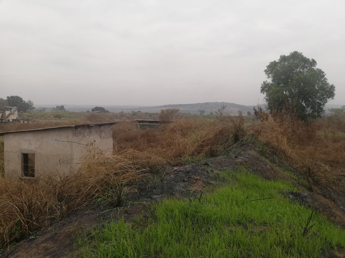 DeProximite's tweet photo. À VENDRE À NTOULA DANS LE SECTEUR DE LA SOCIÉTÉ SSC!!!🇨🇬🇨🇬🇨🇬
Un domaine comprenant de plus 25 parcelles de 20mx20m chacune.
***PRIX :1.5 MILLIONS À DÉBATTRE.
☎️(appels) :066721264 /053091251 ;
Whatsapp:(+242)050446692 /065775436. https://t.co/plWiwOwfRM