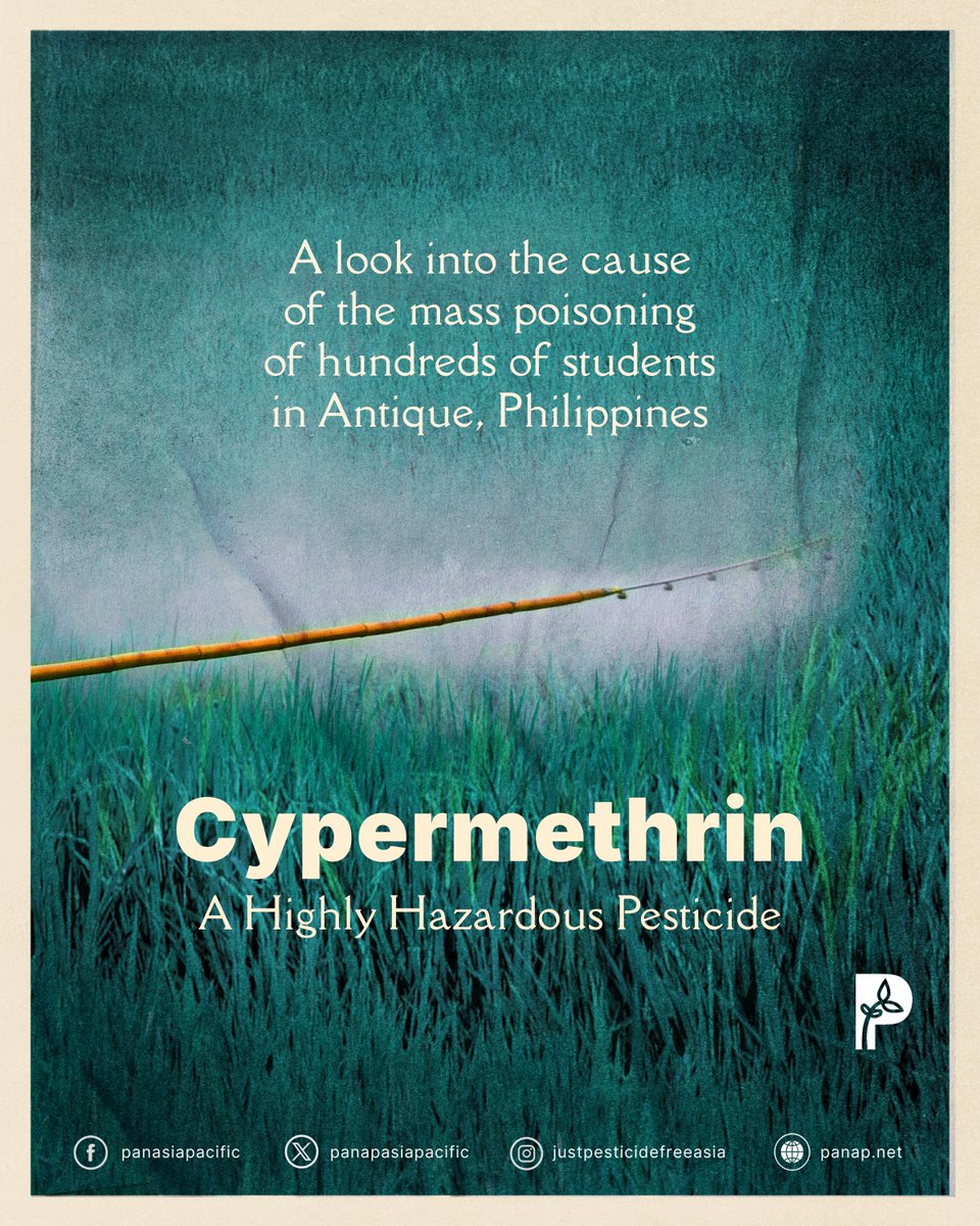 PANAsiaPacific's tweet photo. Nearly 250 students were poisoned in Antique, Philippines last month. Here’s what you need to know on the chemical responsible for the incident: Cypermethrin. Access our factsheet on our website.

#BanHHPs
#ProtectOurChildren https://t.co/rHpbtvVGo7