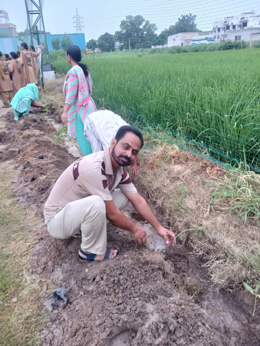 Satpal2002's tweet photo. आज, 14 अगस्त सुबह 6 बजे, दुनिया भर में लाखों लोग #MyGiftToMSG के तहत एक साथ विशाल वृक्षारोपण कर रहे हैं—धरती को हरा-भरा, प्रदूषण मुक्त और जीवन से भरने का संकल्प। 🌱💚
#GoGreen
#SaveEnviroment https://t.co/mFKYmrqWff