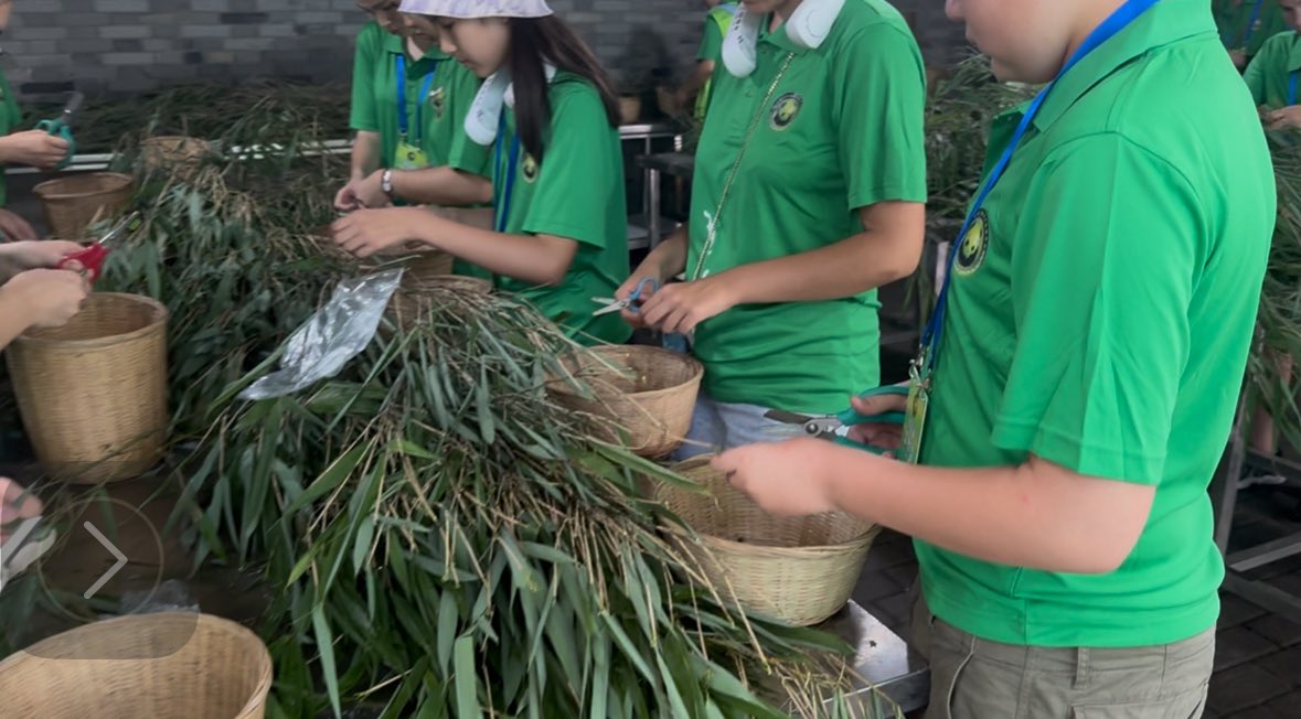 WenLin_Chinese's tweet image. At Dujiangyan Panda Base 🐼 — our students became panda keepers for a day &amp;amp; earned a Panda Volunteer Certificate, a proud achievement &amp;amp; lasting memory.
#PandaBase #Dujiangyan #WenLinChineseSchool
