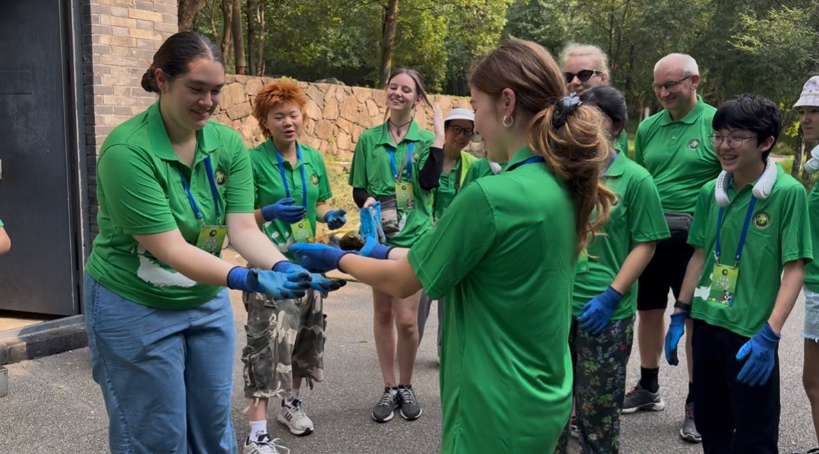 WenLin_Chinese's tweet image. At Dujiangyan Panda Base 🐼 — our students became panda keepers for a day &amp;amp; earned a Panda Volunteer Certificate, a proud achievement &amp;amp; lasting memory.
#PandaBase #Dujiangyan #WenLinChineseSchool