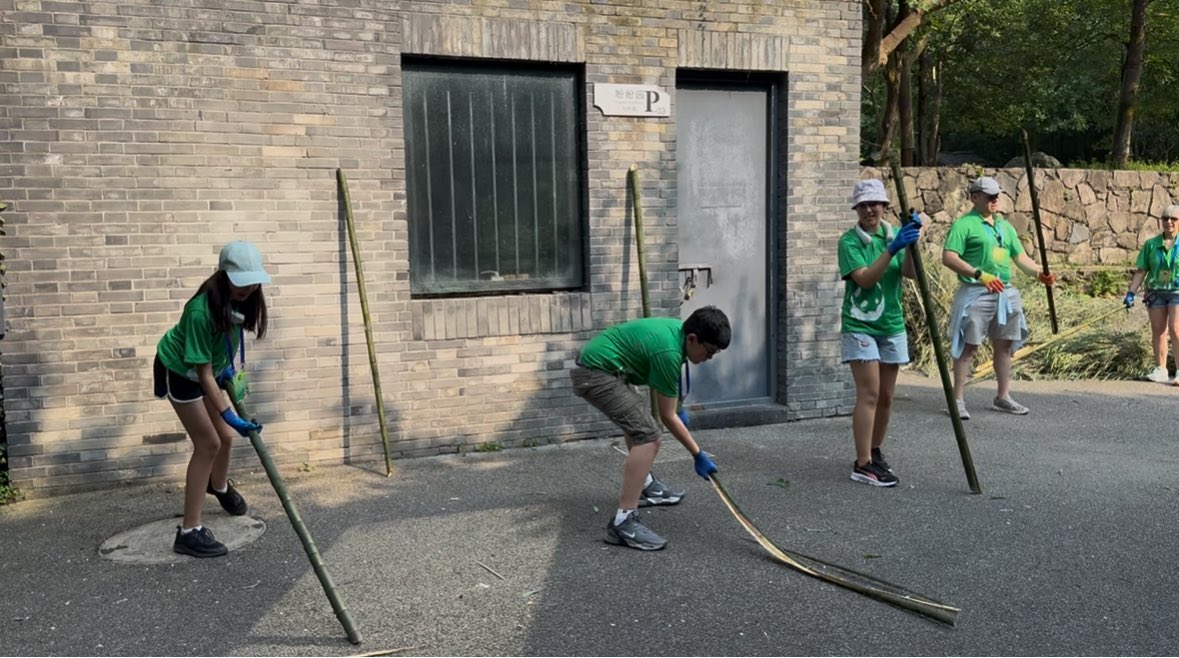 WenLin_Chinese's tweet image. At Dujiangyan Panda Base 🐼 — our students became panda keepers for a day &amp;amp; earned a Panda Volunteer Certificate, a proud achievement &amp;amp; lasting memory.
#PandaBase #Dujiangyan #WenLinChineseSchool