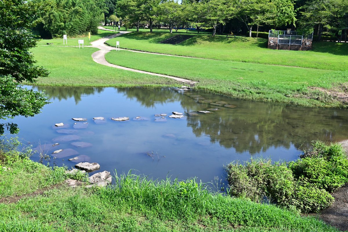 t_sakobe's tweet photo. 今日の七瀬公園と高瀬石仏です。
秋はもうすぐ🍂
水位上がってるのかな��飛石が水没していました。
七瀬公園からシャトルバスって大変だね。農業会館ですればいいのに😂

#カメラ好きな人と繋がりたい
#写真を撮るのが好きな人と繋がりたい
#ファインダー越しの私の世界 https://t.co/ZX2LCHGHnc