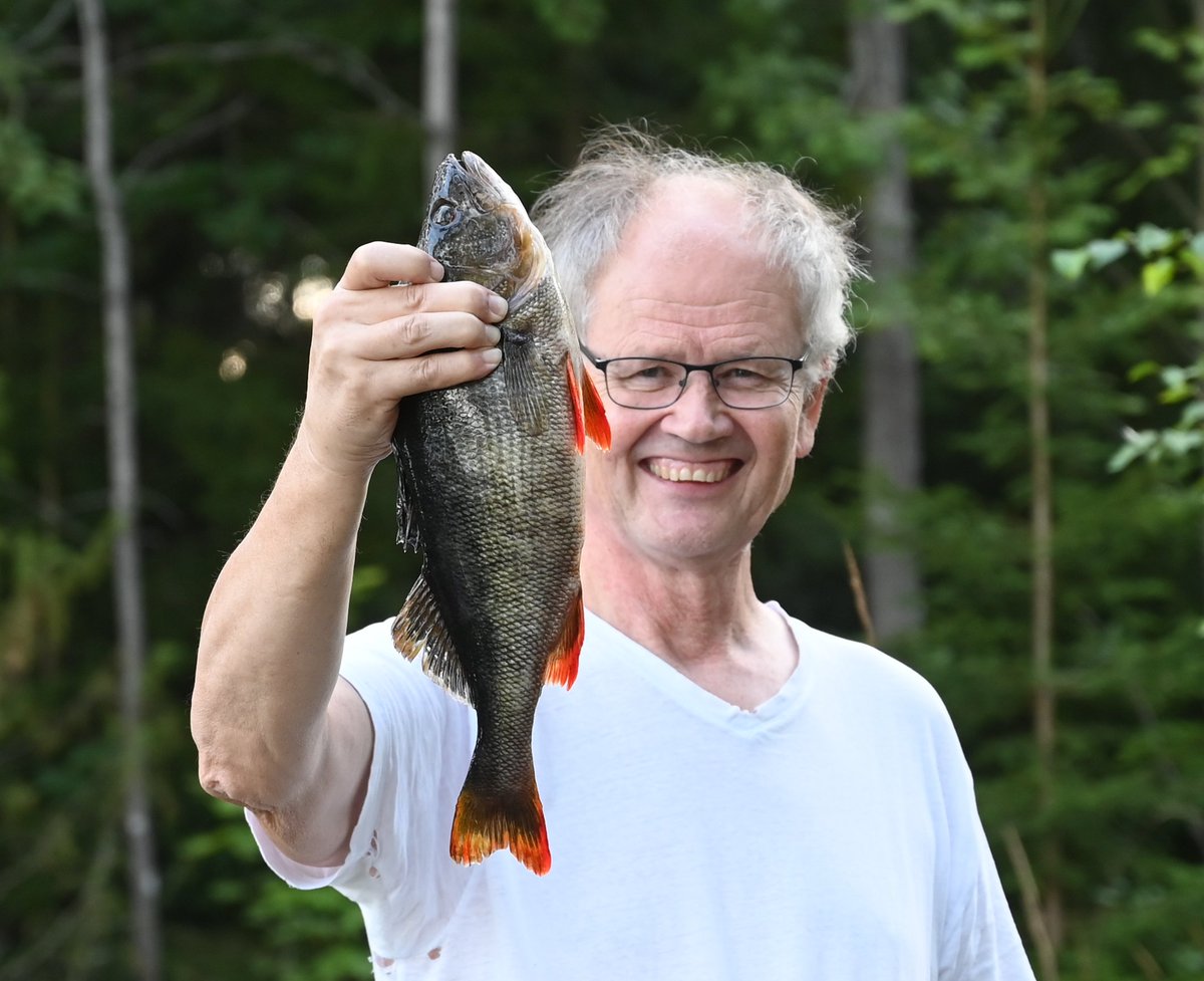 Verkosta löytyi eilisiltana tällainen kilon ahven.