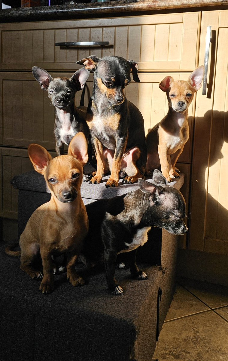 Future's Relic tweet media