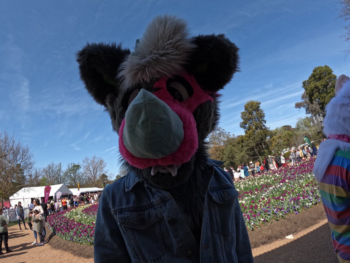 Get yo big ahh snoot outta the way boy!!