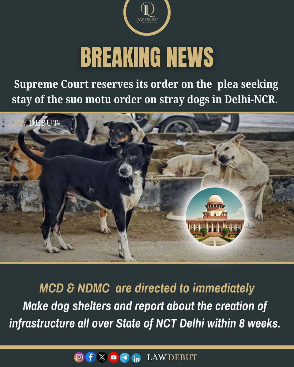 lawdebut's tweet photo. Any hindrance or objections that may be caused by any individual or organisations in the smooth and effective implementation of our directions, will be viewed as contempt of the Court and we will proceed in accordance with law.

#straydogs #SupremeCourtOfIndia https://t.co/kLcJRpMAm7