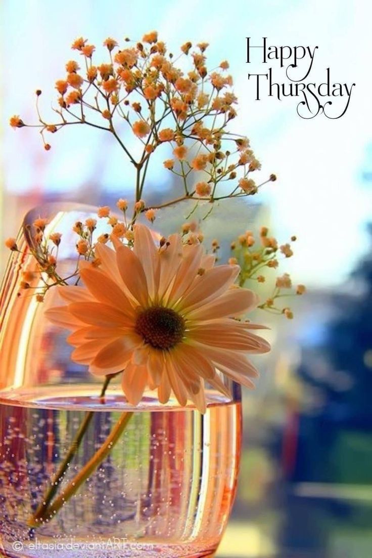 GM☕️🌞
#1DDrive🍫

<a href="/Ahksoglu/">Ksgl</a> <a href="/ladha_man/">Man Mohan Ladha</a>
<a href="/nazb4u/">メʝօɨռRΐ∂d͢͢͢leℝ</a> <a href="/GuenterK13/">Guenter</a>
<a href="/Luca25ita/">༄᭄𝐿ucas ҉ #𝙇𝙤𝙫𝙚&𝙋𝙚𝙖𝙘𝙚𓅃</a> <a href="/ma_yeth/">[★][★]</a>
<a href="/Tweet_Alphabet/">ALPHABET</a>
<a href="/kom_ofis/">#MY2KOM #MGWV #1DDrive</a> <a href="/jitin84/">Jitin Sharma</a>
<a href="/GRAHAM15583/">🅶🆁🅰🅷🅰🅼</a>
<a href="/morgan2k21/">Stan Harvard</a>
<a href="/ProximalK58/">Khan</a>
<a href="/ARIFJALALI/">arif jalali</a> <a href="/bdvetsx/">Mitun Sarkar</a>
<a href="/NlHILIST/">🎩LORD NIHILIST♪ IFB ALL: UNFOLLOW=BLOCK</a> <a href="/Seko_MD/">seko.m.m🐐</a>
<a href="/Luisa1E/">Luisa Elena 🌹Luisa🌷</a> <a href="/majd9757/">M</a>
<a href="/Hansraj06914151/">Hansraj Chauhan</a>
<a href="/andreawan_/">andre</a> <a href="/MirCaro/">CaroMir</a>

<a href="/lumpie125/">lumpie125</a> <a href="/bluea125/">BlueA125</a> <a href="/Siogo61/">@siogo61</a>