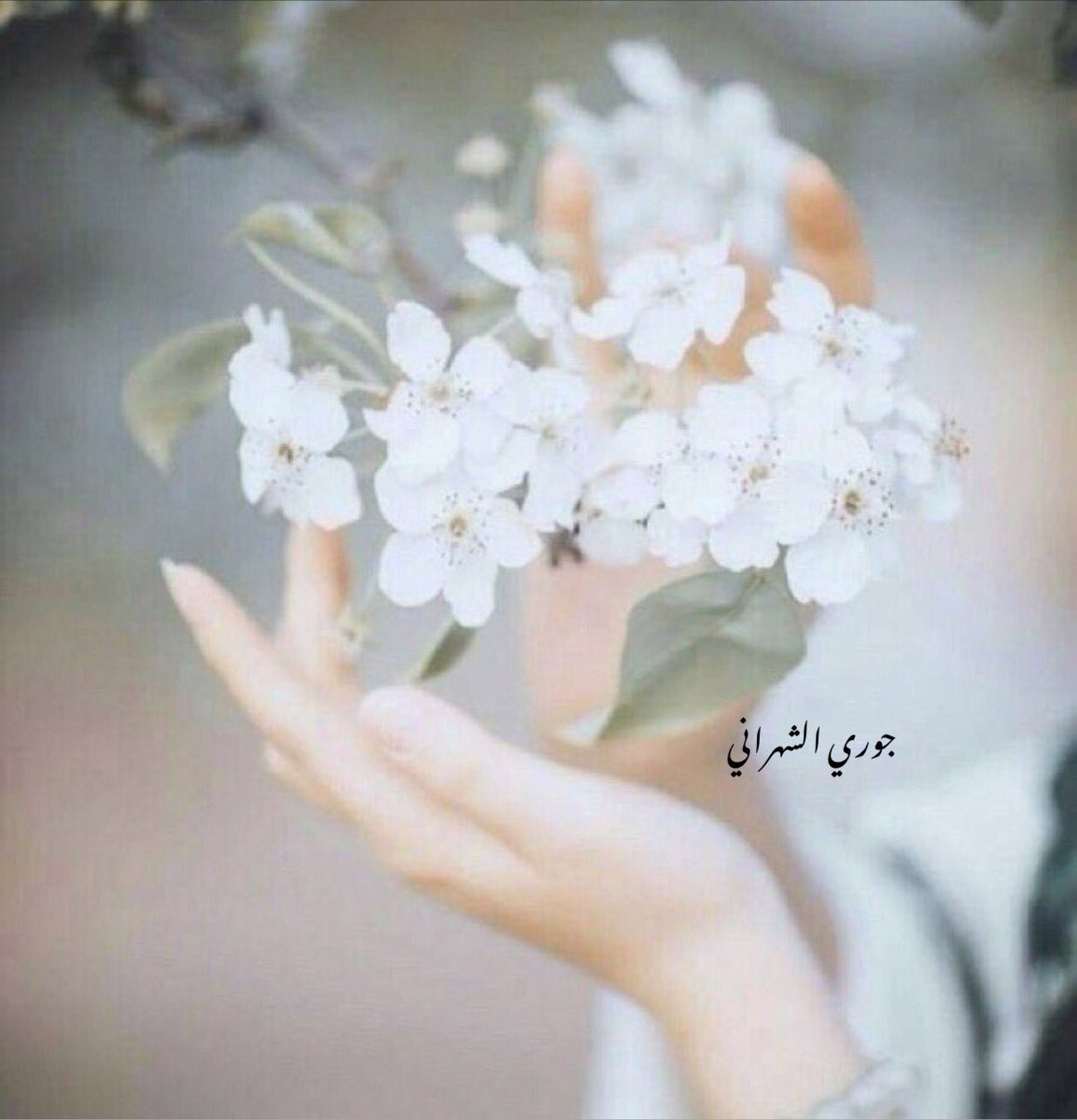 سبحان مُغير مقامات الناس في قلوبنا 
سبحان زارع الشعور ونازعه ،،🤍