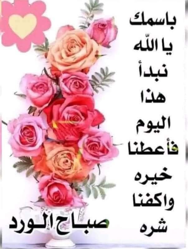صبـــــــــــــاح الخير