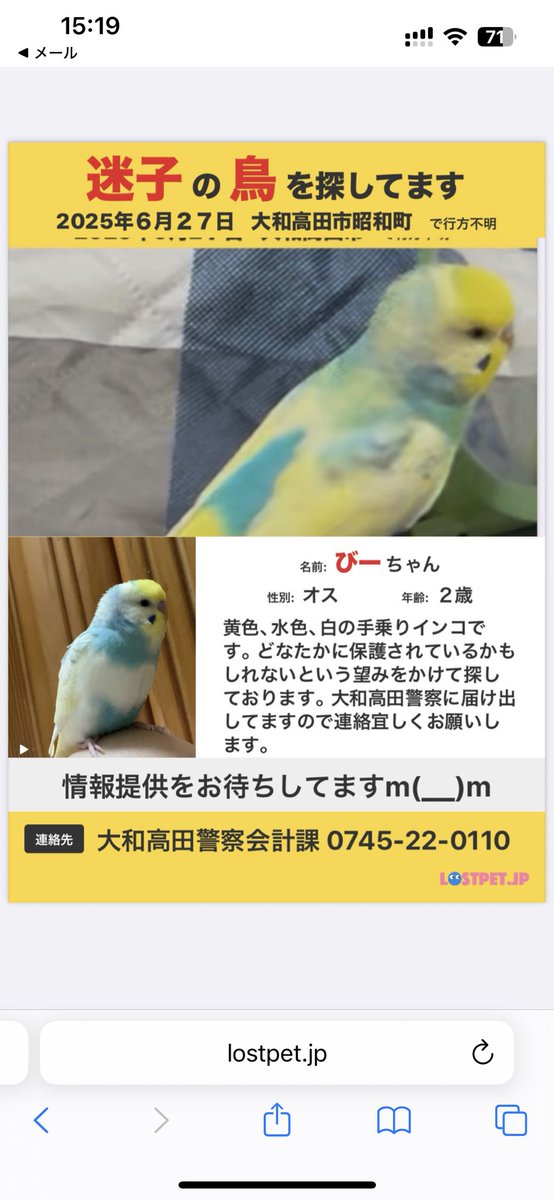 拡散、ご協力宜しくお願いします。
保護していただいてる方は警察の方に届け出お願いします🙇‍♀️