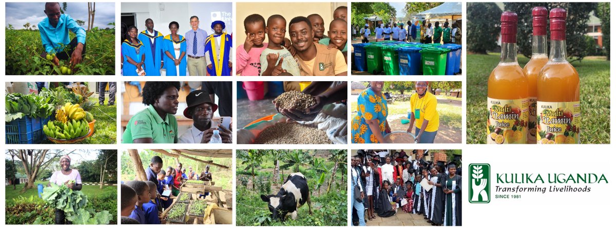 🚀 We’ve Been Nominated! 🚀
Kulika Uganda is up for Best Local NGO 2025 🎉
💚 Show your support – it takes just 10 seconds!

👉 Vote here: socialenterprise.ug/voting2025/vot…

Let’s win this together! 🏆 #VoteKulika #BestLocalNGO 
Vote today – share widely – let’s make this happen! 💚