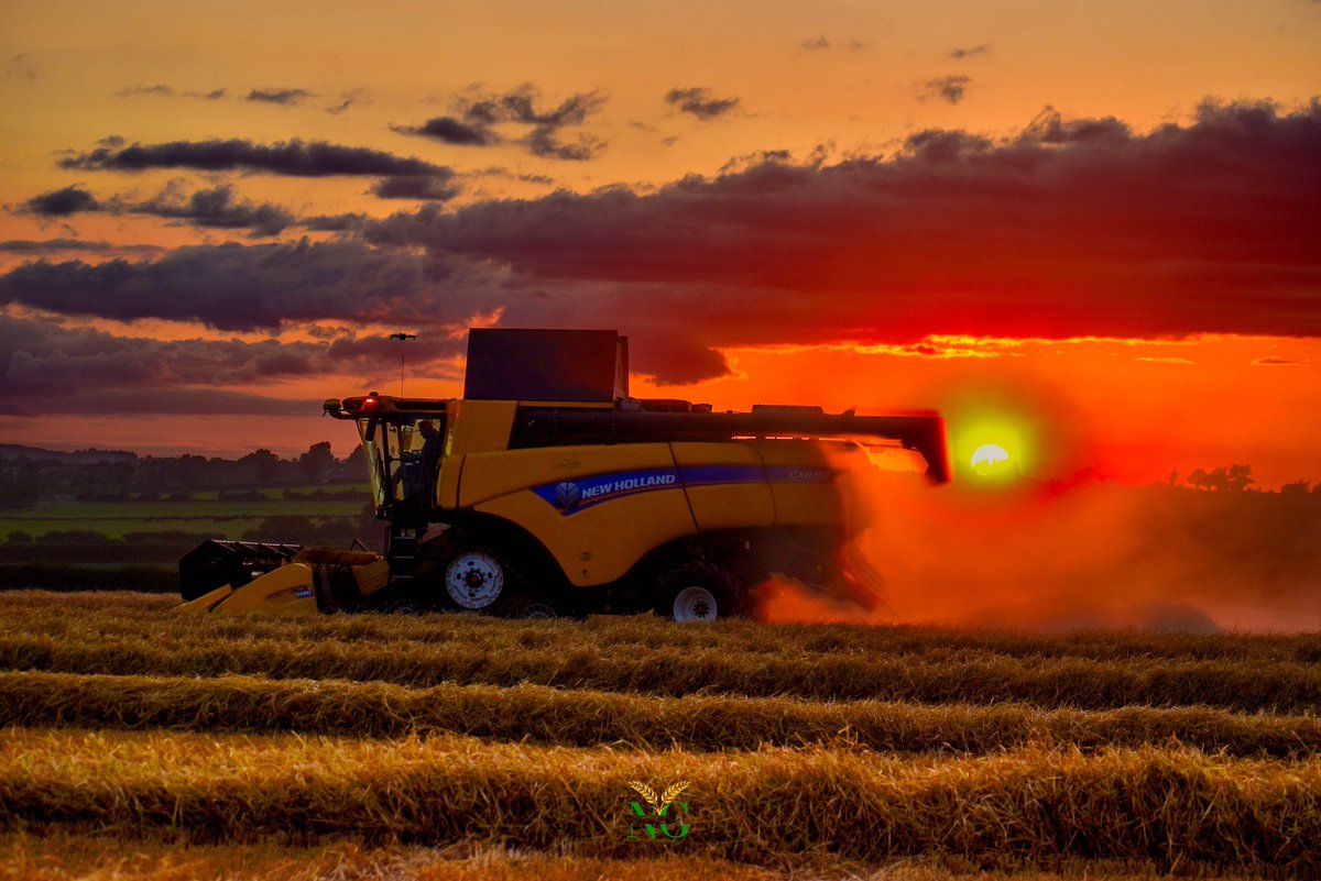 Niall Gosson- NGosson Agri tweet media