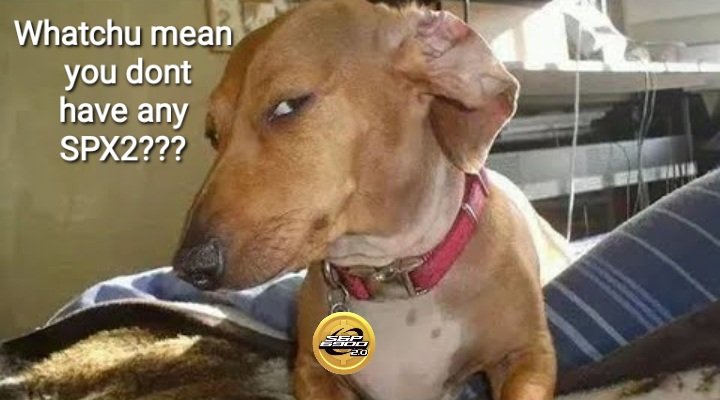 SPX2.0- The Stock to Meme Origin (@02_spx6900) on Twitter photo 