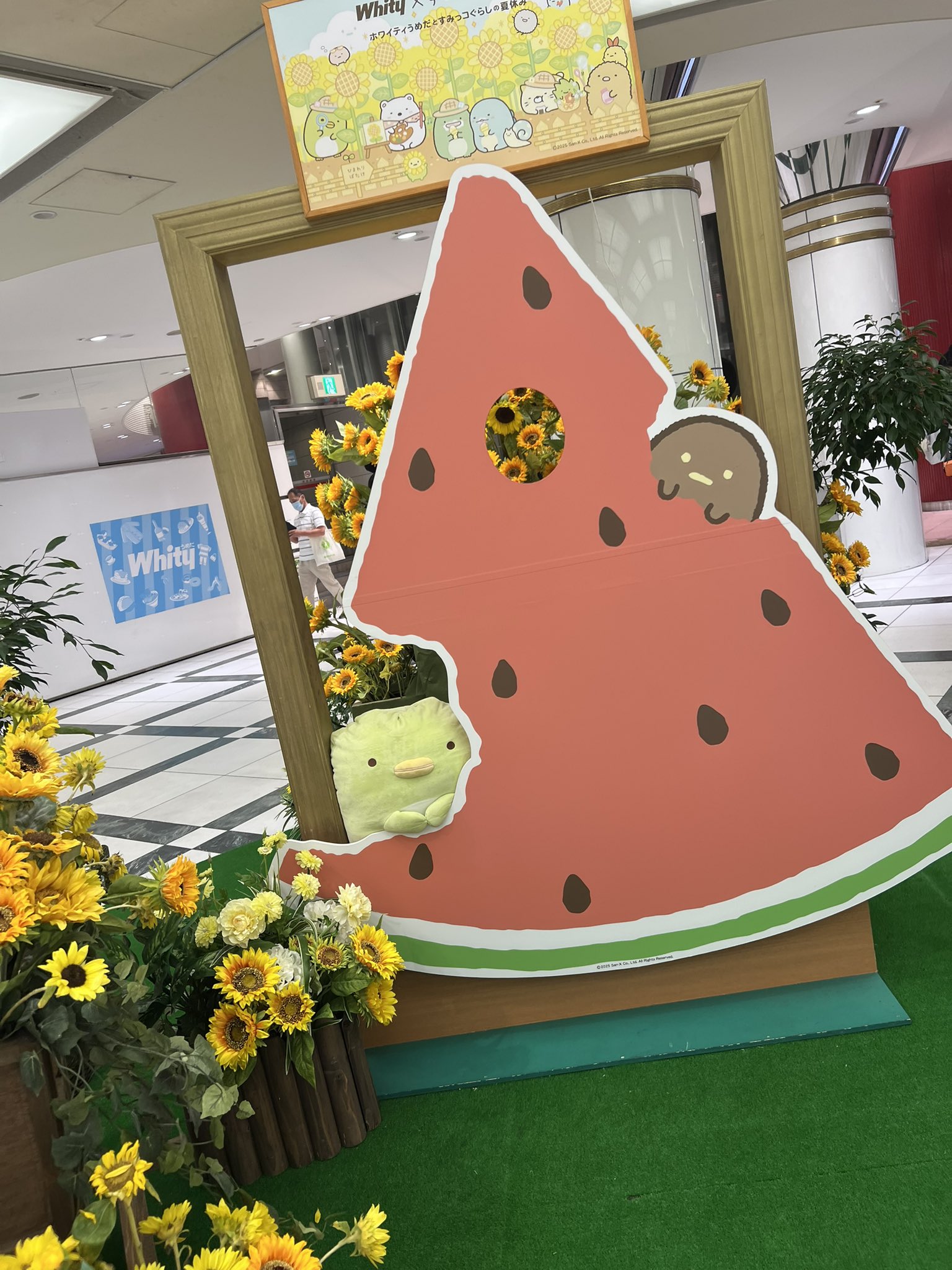 猫たま d8d06cc9f3b316cd982c3008e4235e