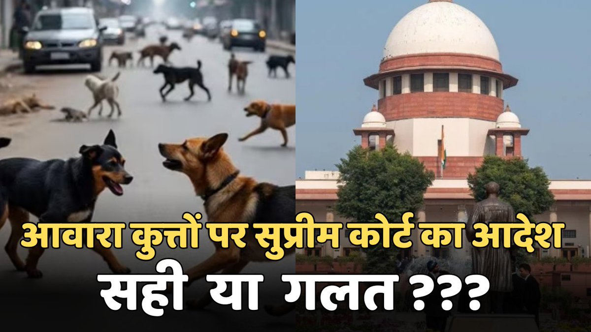 Enviro_Story's tweet photo. Delhi-NCR में Street Dogs पर सुप्रीम कोर्ट का ऐतिहासिक आदेश !!!

पूरा वीडियो यहां देखें : https://t.co/b95dWimQFr

#SupremeCourtOnStrayDogs #DelhiNCRDogFree #StrayDogsSolution #PublicSafetyFirst #AnimalWelfare #RabiesControl 
#StrayDogCrisis #SafeStreetsIndia https://t.co/XBw9hJhuex