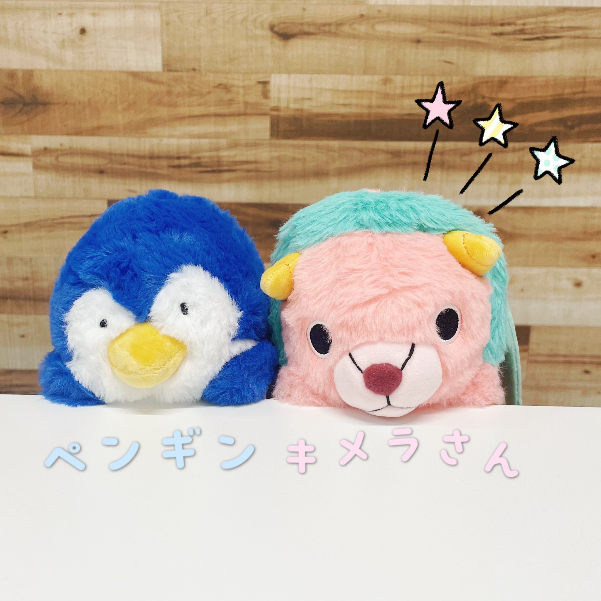 ブレマイ ツリービレッジ 推し缶バッジ 立科 推し缶 ツリビレ テレビ局公式ショップ ツリービレッジ on X: 