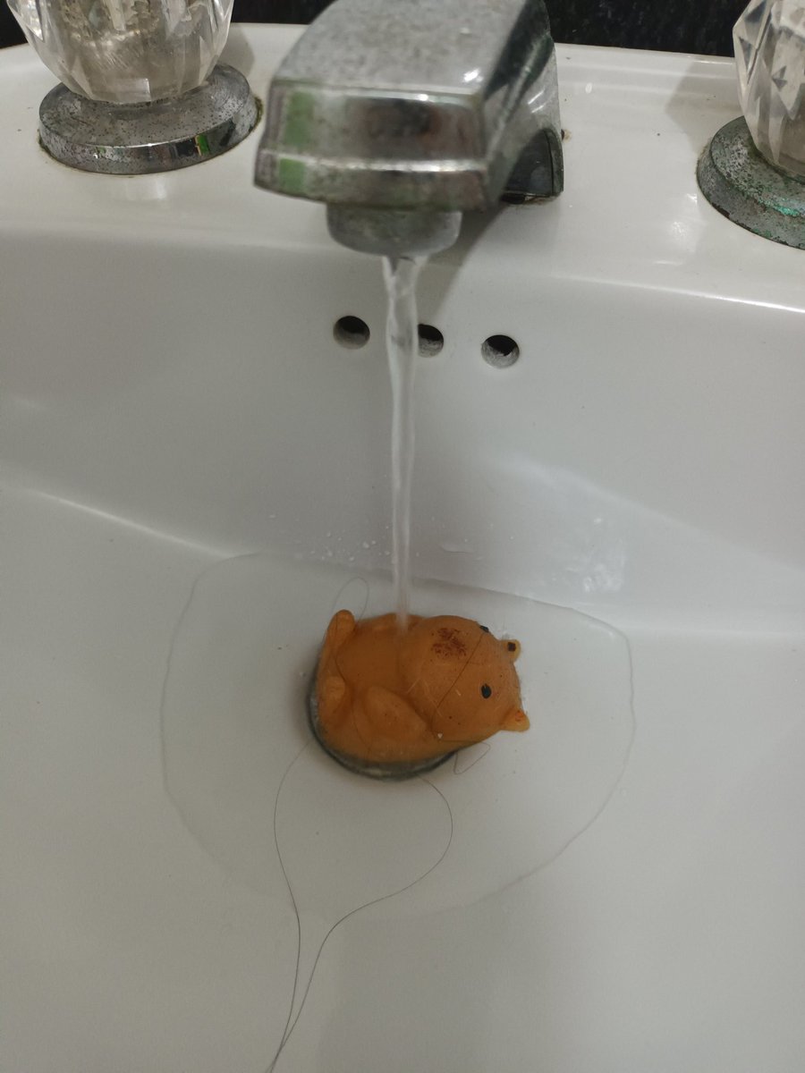 aauuaj0123's tweet image. #Capybara #takeashower #RANDOM #hairjustthat