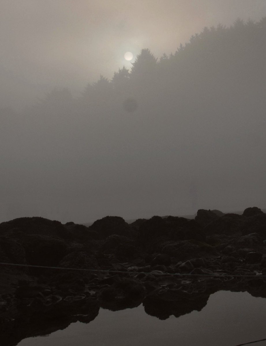 datsn0fun's tweet photo. my fav shots I took my Oregon trip https://t.co/HTSdDsmUSn