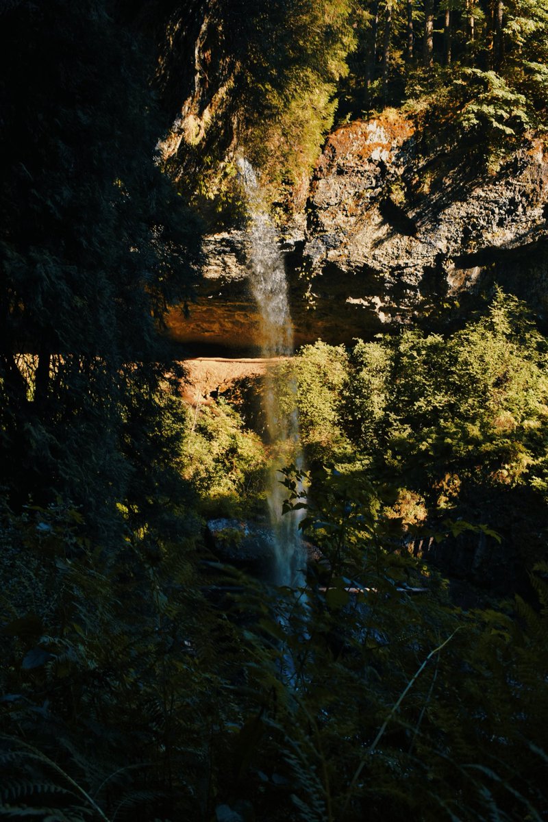 datsn0fun's tweet photo. my fav shots I took my Oregon trip https://t.co/HTSdDsmUSn