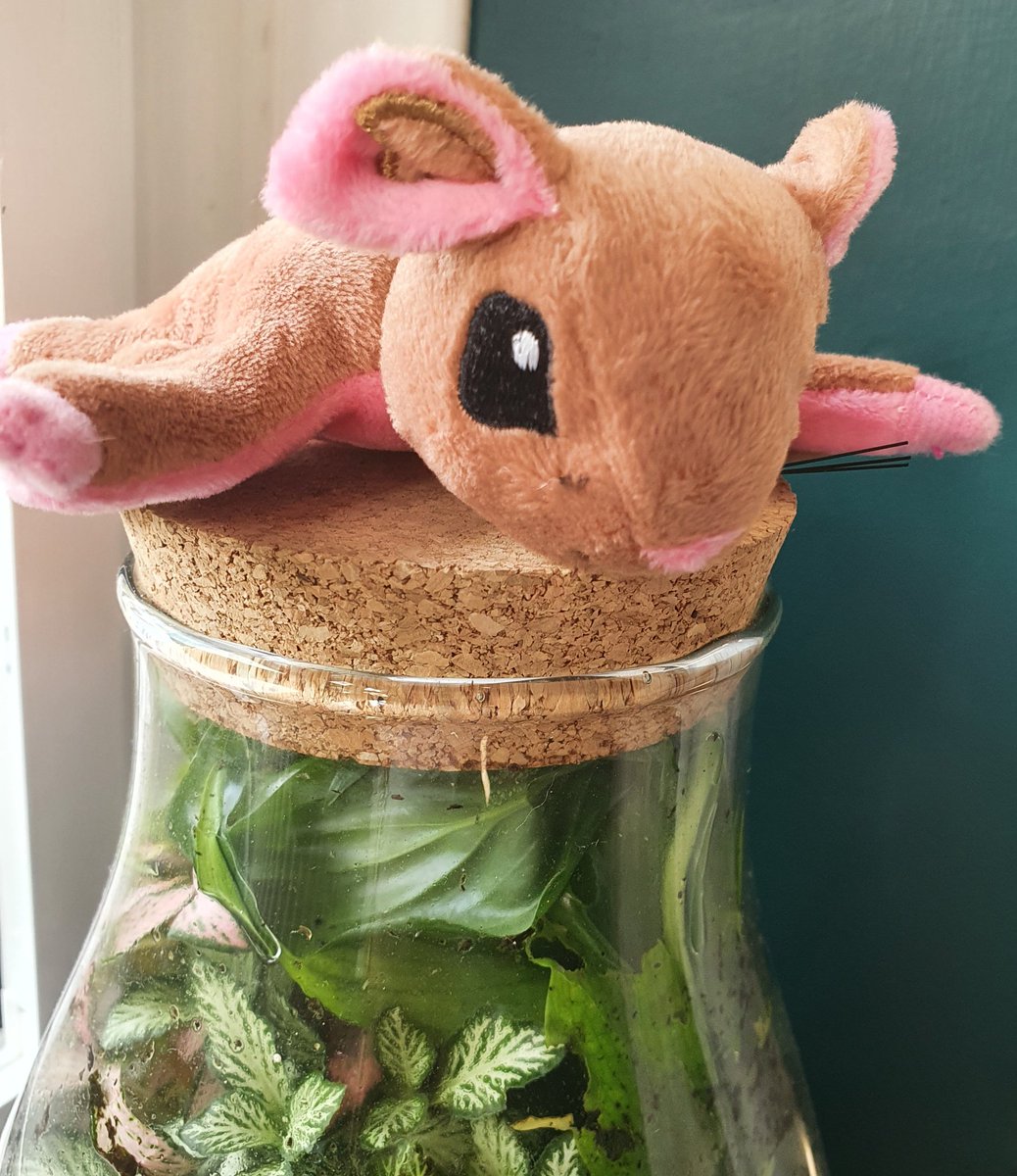 Well <a href="/writingloris/">lorisowen</a> I can't believe my time at #Quicksmiths is over. A brilliant ending to a marvellous, magical puzzlers delight. #TheCyberCiphersOfEarthaQuicksmith had some new adversaries, but we made some new friends. 
A real heart burst of a read; simply wonderful.