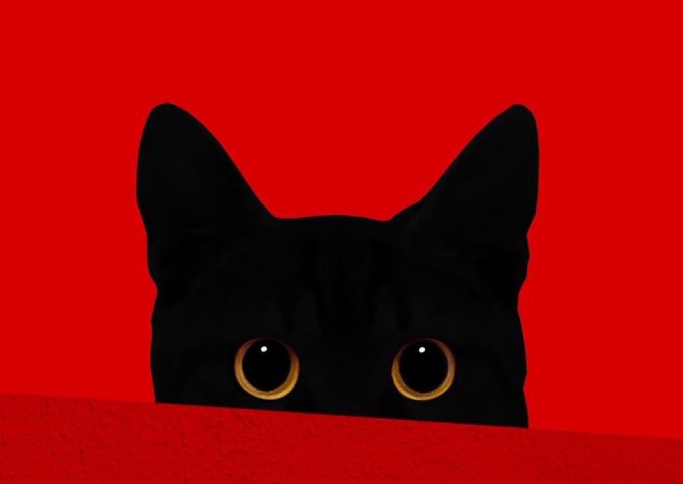 ivar_x47's tweet image. Since last year #Mexc ba isticmaala for most trades.

Manta waxa arka 1100$ oo isiiyen coz waxa so xareye ila 2milyan oo dollar ah as qeybta #futures trading. 

Waxa mar dhow bilaabi dona #copytrading don’t miss register hada 👇🏻

mexc.com/acquisition/cu…

#ivar