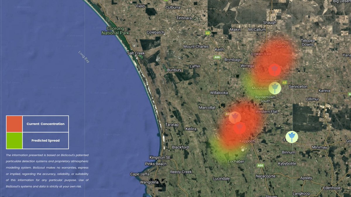 BioScout tweet media