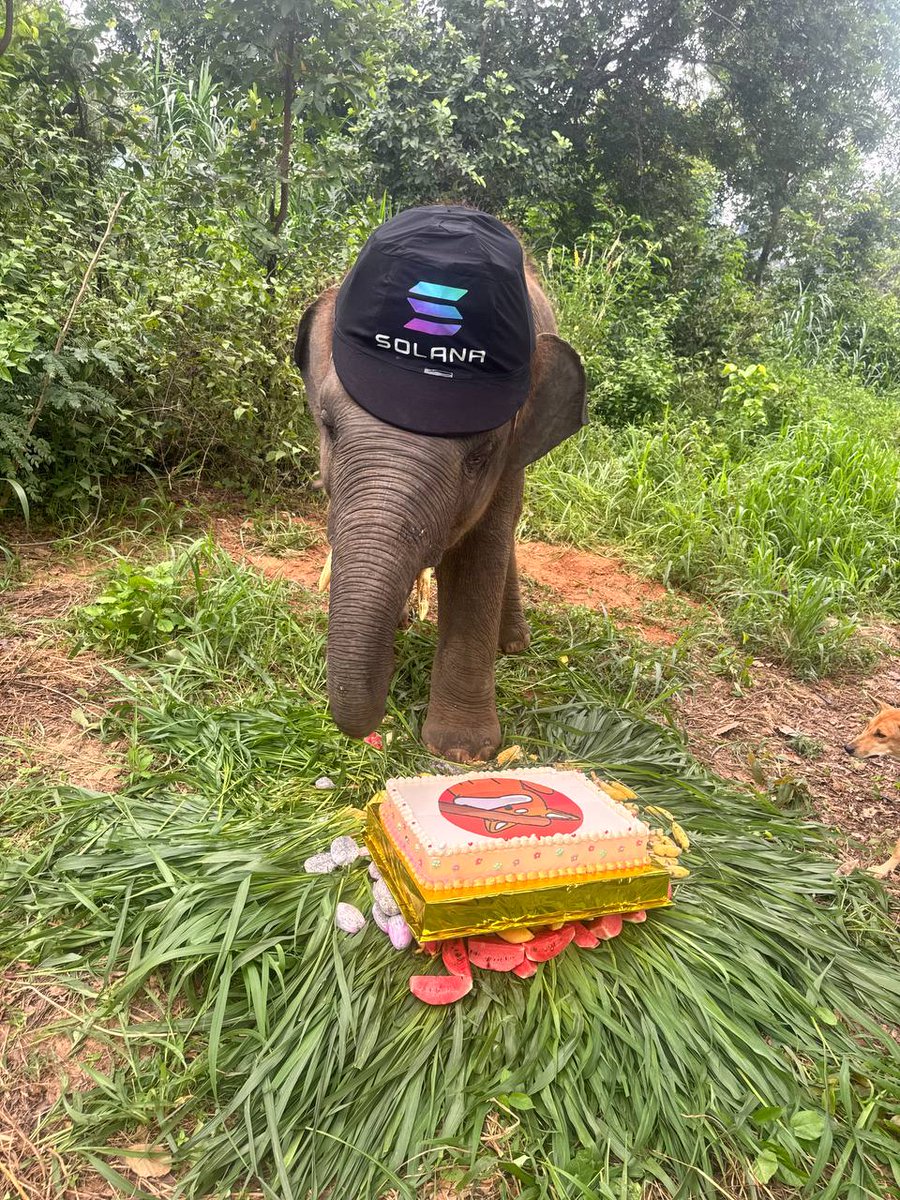 solanos42592's tweet photo. @bitgetglobal We’re still at the very beginning of the journey. Building an organic community is really tough. Some have abandoned ship, but even if our market cap drops to zero, we’re here. Because one day, elephants will take the place of whales.

7dJ76MphCv6H7BNw64zpbct2RUikoixhgD4Xi15sbonk https://t.co/OX2JHcBV1K