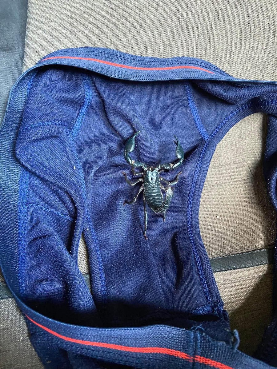 ບໍ່ມີໃຈ tweet media