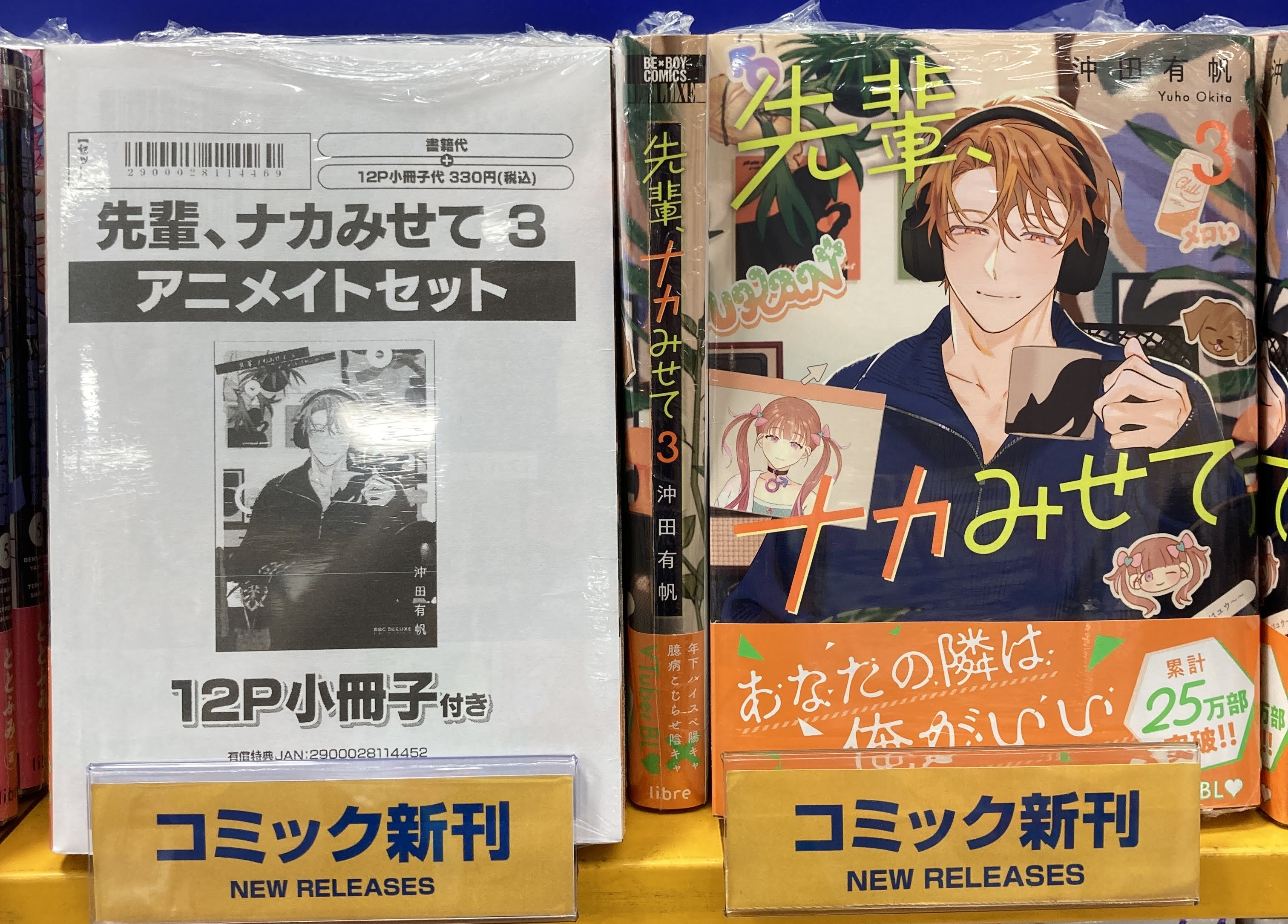 『Ｋ』 オリジナル小説+漫画+アニメイト 特典 10点セット アニメイト天王寺 on X: 
