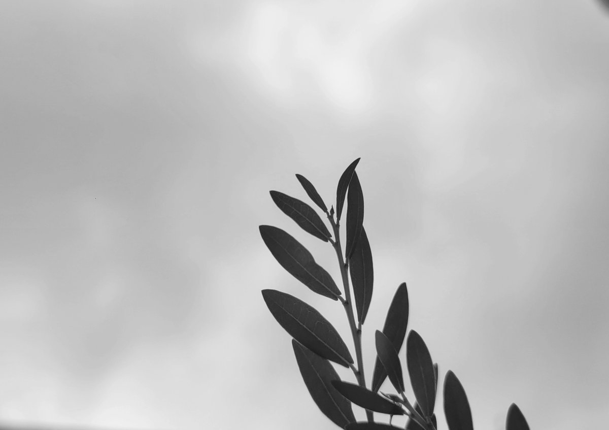 I’m into minimalist photography.

#withGalaxy 

<a href="/samsungID/">Samsung Indonesia</a> <a href="/Samsung/">Samsung Electronics</a> <a href="/SamsungMobile/">Samsung Mobile</a> <a href="/Snapdragon/">Snapdragon</a> <a href="/Snapdragon_ID/">Snapdragon Indonesia</a>