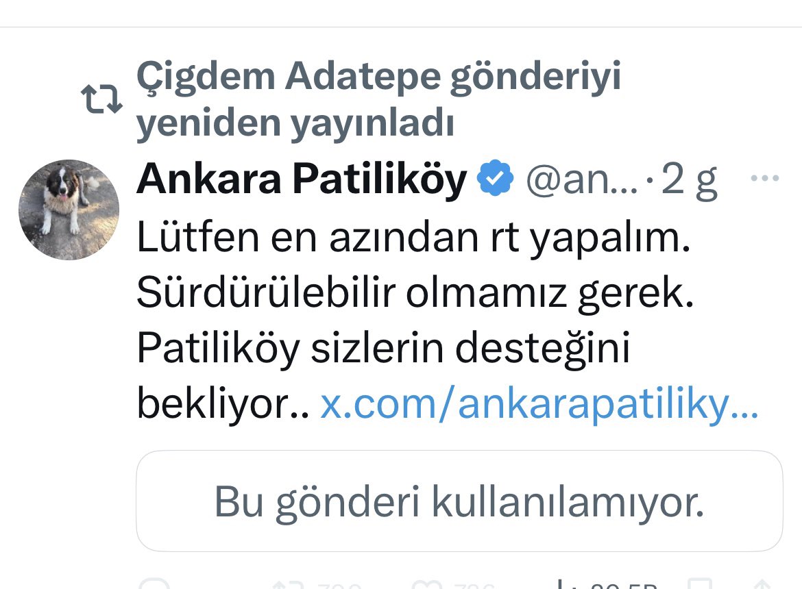 Prof Dr. Nebahat BULUT (@bulutgulcun) on Twitter photo <a href="/cigdem_adatepe/">Çigdem Adatepe</a> Haddinizi bilin. Mana linki, kumbara adresi, destek adı altında dilenmek, dilenenleri RT etmek yasaktı/ yasak uygulamaya başlandı. Size de medeniyeti ve temizliği öğreteceğiz. İnanın dünyada köpek dışkısı peşinde koşmaktan daha hoş kokulu aktiviteler var. Düzgün bir işe girin, <a href="/cigdem_adatepe/">Çigdem Adatepe</a> Haddinizi bilin. Mana linki, kumbara adresi, destek adı altında dilenmek, dilenenleri RT etmek yasaktı/ yasak uygulamaya başlandı. Size de medeniyeti ve temizliği öğreteceğiz. İnanın dünyada köpek dışkısı peşinde koşmaktan daha hoş kokulu aktiviteler var. Düzgün bir işe girin,