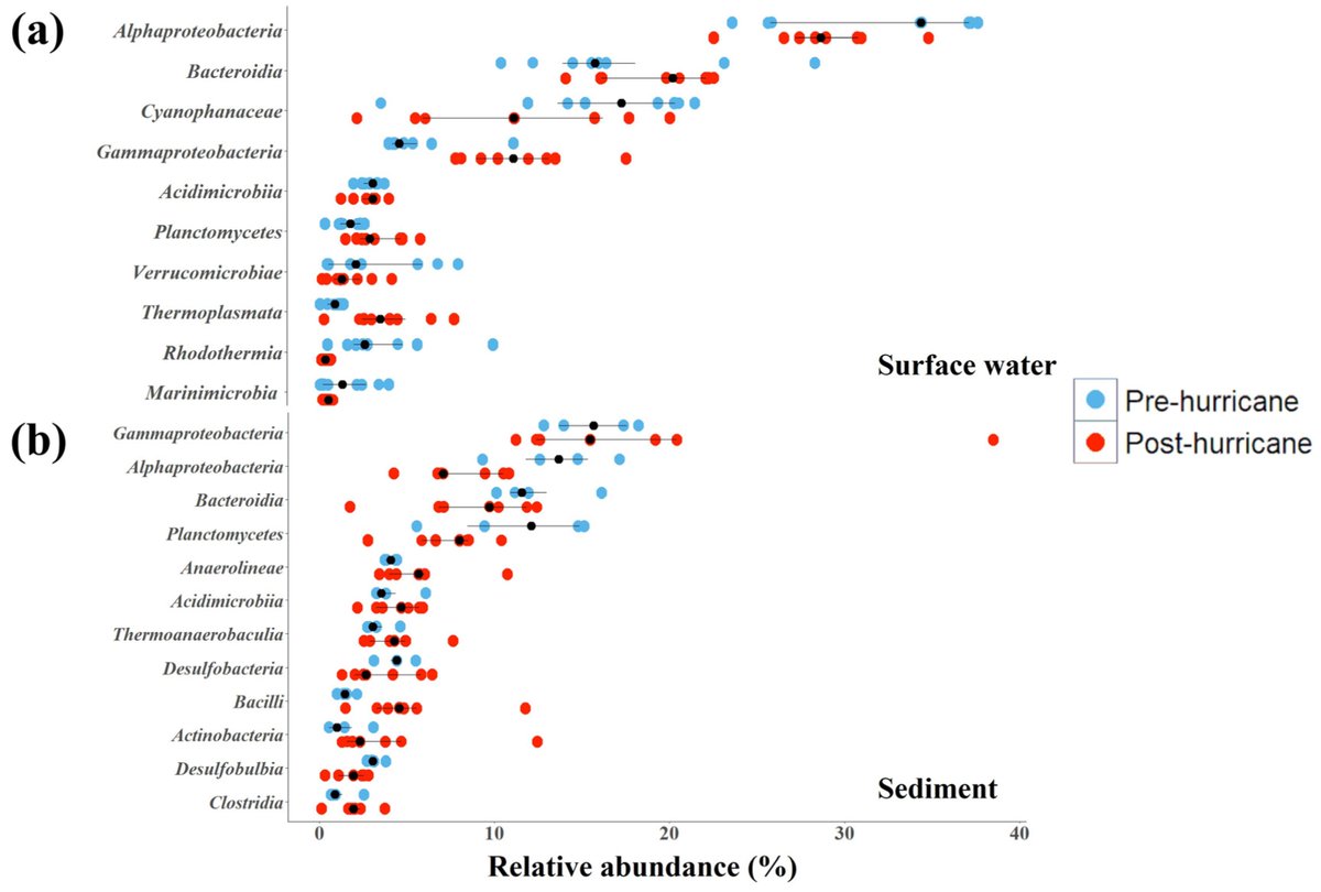 📢 Check out this hot topic in coastal studies! 

📄 Acute Impacts of Hurricane Ian on Benthic Habitats, Water Quality, and Microbial Community Composition on the Southwest Florida Shelf

✍️ Matthew Cole Tillman, et al.

Find out more 👉 brnw.ch/21wUUtZ