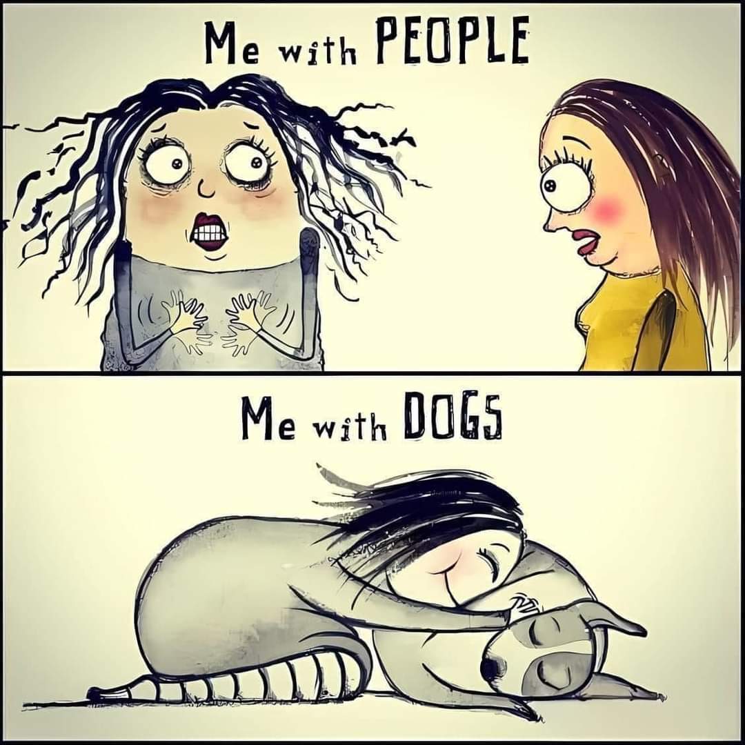 Wilma (@deravissante) on Twitter photo 