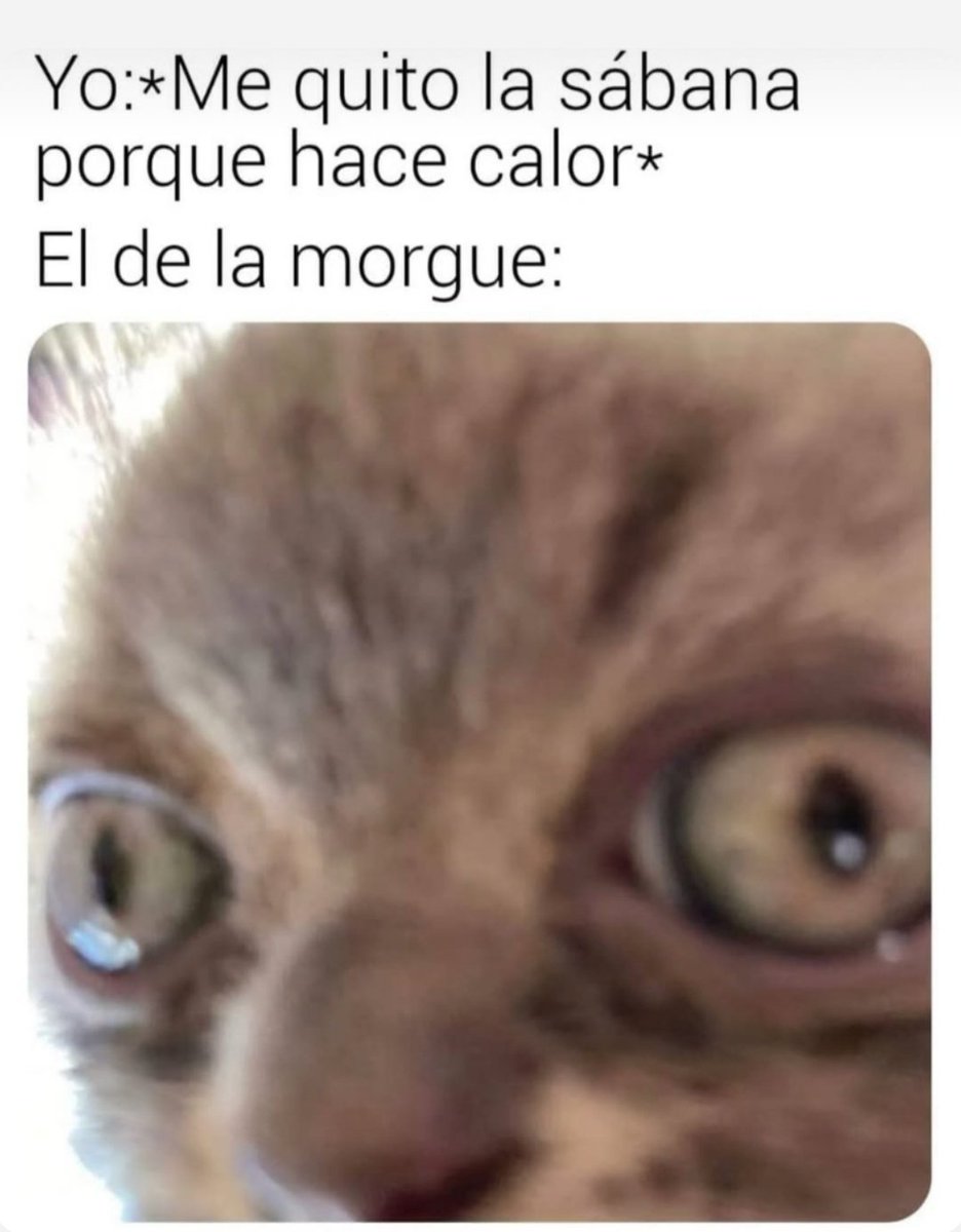 Ana_LaPatata (@ymuchosmemes) on Twitter photo 