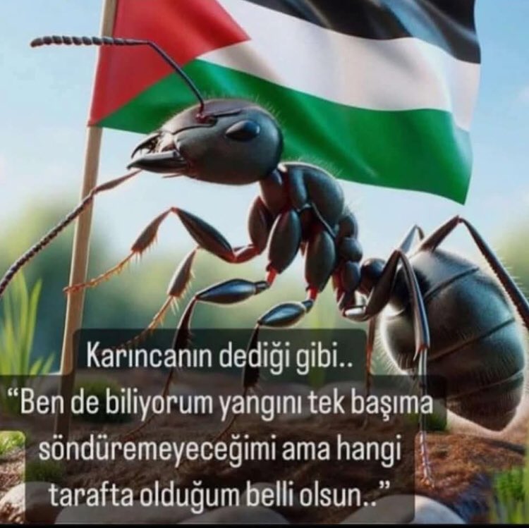 guraymete's tweet photo. https://t.co/9xU6NdKLvi
