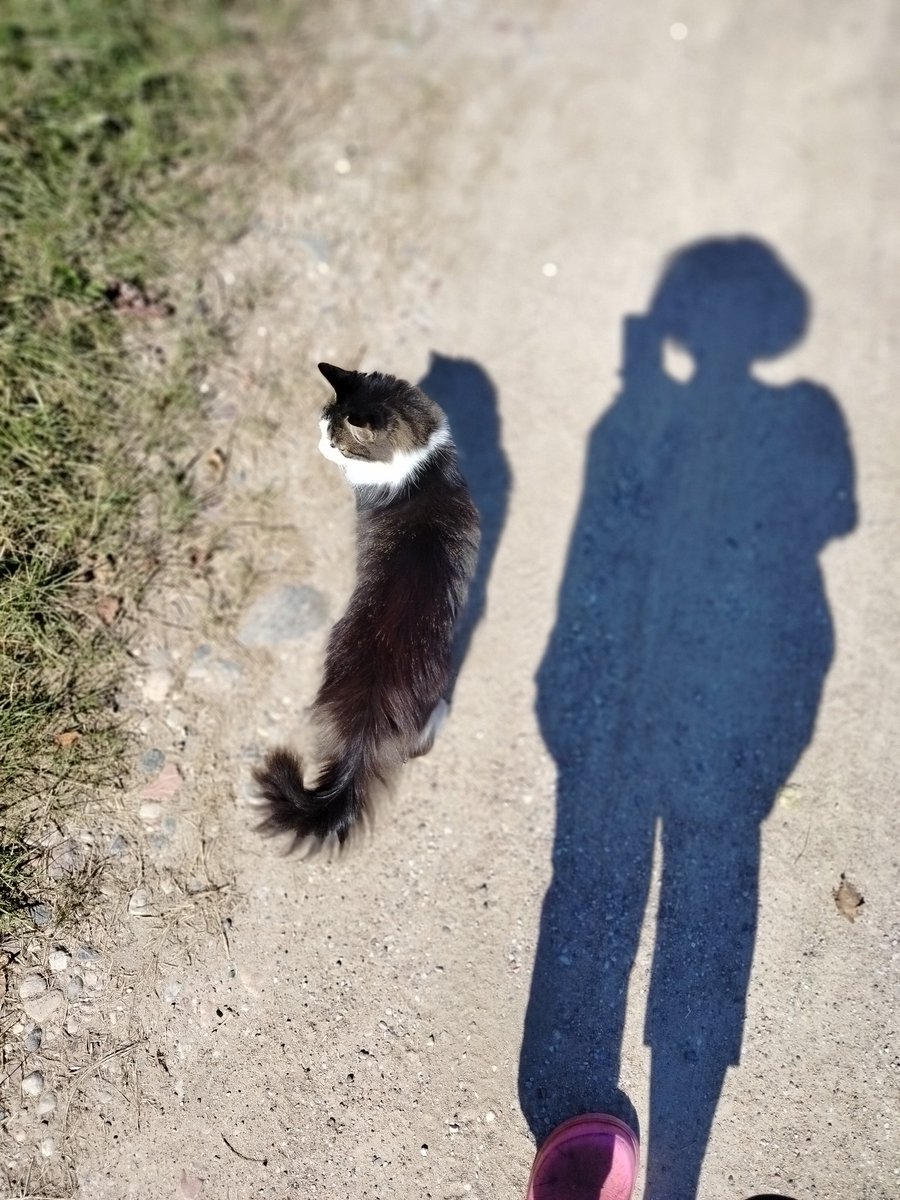 Гуляем с Мотей😁🐾🐾