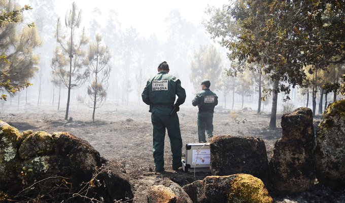 🔥 Dos detenidos y un investigado por incendios en Castilla y León

▶️Un hombre por un incendio intencionado en #Mombeltrán (#Ávila) que arrasó 2.200 hectáreas.

▶️Otro varón por un incendio en #Puercas de Aliste (#Zamora) que afectó a 3.000 hectáreas.

▶️Además, se investiga a