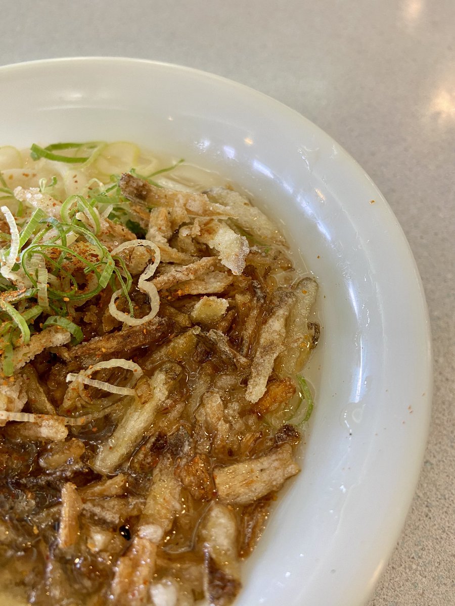 qgb61's tweet photo. やっと食べれた！
桜島フェリーの【ごぼ天うどん】
食べたかったんだ〜！
ごぼ天だけ食べ続けたかった！
#ごぼ天うどん 
#桜島フェリー 
#やぶ金 https://t.co/4eCL5duLHr
