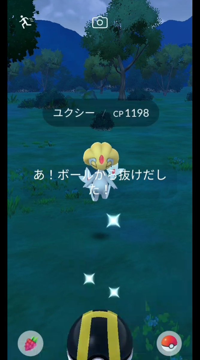 lanch_games's tweet photo. 野生のユクシーいてびっくりした https://t.co/X8Jj3tvJfF