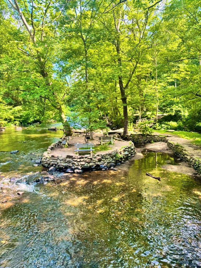 quaswervo's tweet photo. exploring the pastures of nature w/ friends is all u need 🌱 https://t.co/PwCJg2Dcuf