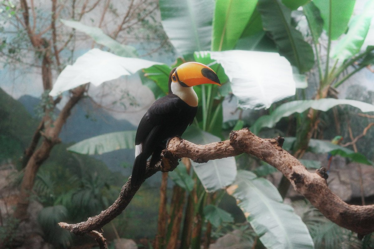 Joseph Hawkins tweet media