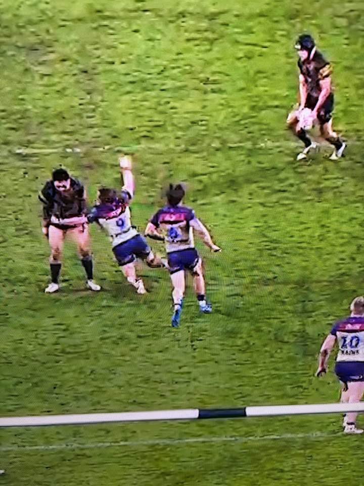 The Mole tweet media