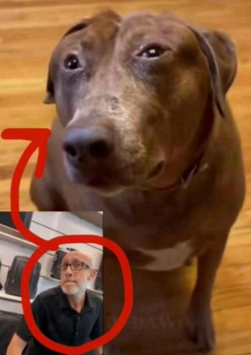 ⋆⁺₊ ✶ 𝓣𝘏𝘌 𝓜𝘈𝘎𝘐𝘊𝘐𝘈𝘕 ᝰ .ᐟ tweet media