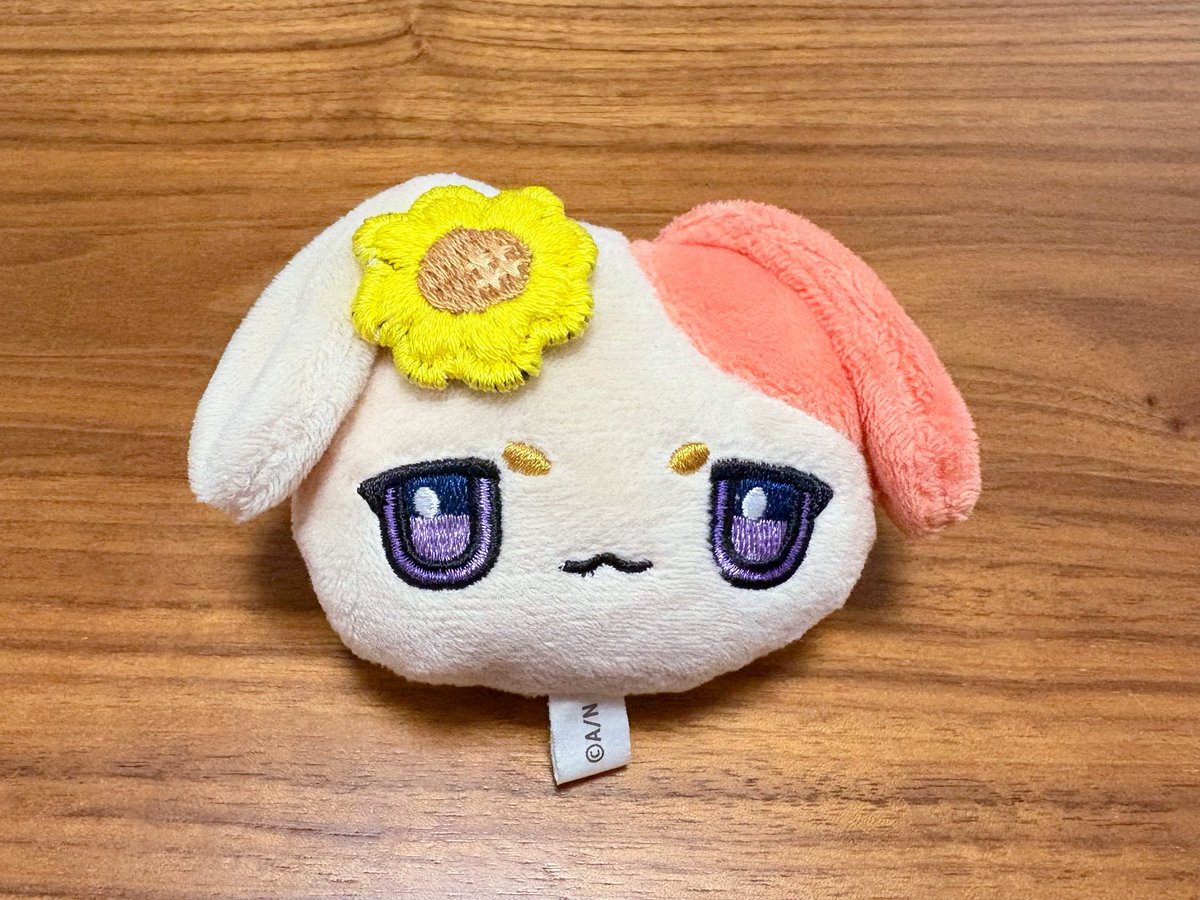 りょーか🪡 (@rk_s_nn_) on Twitter photo 